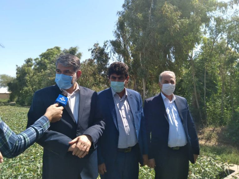 رئیس کمیسیون کشاورزی، آب، منابع طبیعی و محیط زیست مجلس شورای اسلامی: جنگل‌کاری در مهران نمونه جذابی از نهال کاری در مناطق کویری است