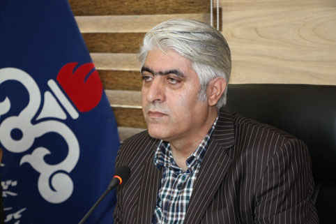 مدیر شرکت پخش فرآورده های نفتی ایلام از عرضه ۶۲ درصدی سوخت در جایگاه های ایلام با کارت شخصی خبر داد
