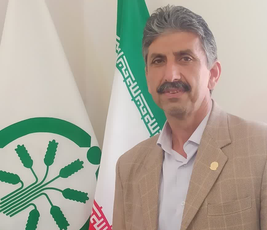 سرپرست شرکت خدمات حمایتی کشاورزی ایلام خبر داد: توزیع کود اوره در سطح شهرستانهای  استان ایلام