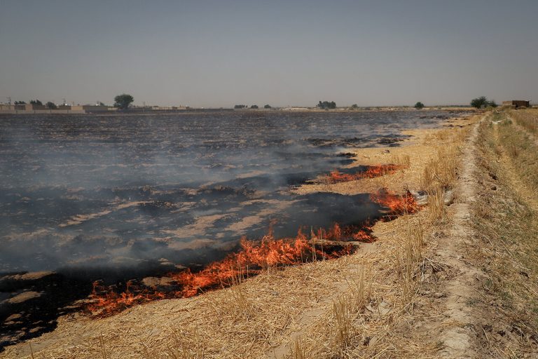مدیرکل منابع طبیعی و آبخیزداری ایلام تاکید کرد: مهمترین چالش‌های منابع طبیعی ایلام آتش زدن پس‌چرای مزارع است