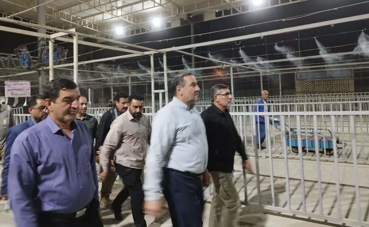 ۳۰۰ دستگاه اتوبوس جدید از فردا در مرز مهران مستقر و کار جابجایی زوار تا پایانه مرزی را انجام می‌دهند