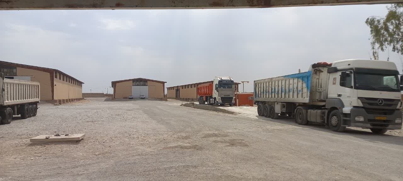 مدیر شرکت خدمات حمایتی کشاورزی ایلام خبر داد: توزیع  کود پتروشیمی مسجد سلیمان در  شهرستان های استان ایلام
