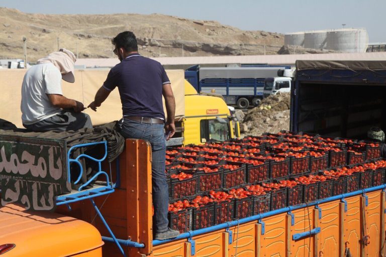 مدیرکل گمرک استان ایلام خبر داد: ۴۷ میلیون دلار محصولات کشاورزی از مرز مهران صادر شد