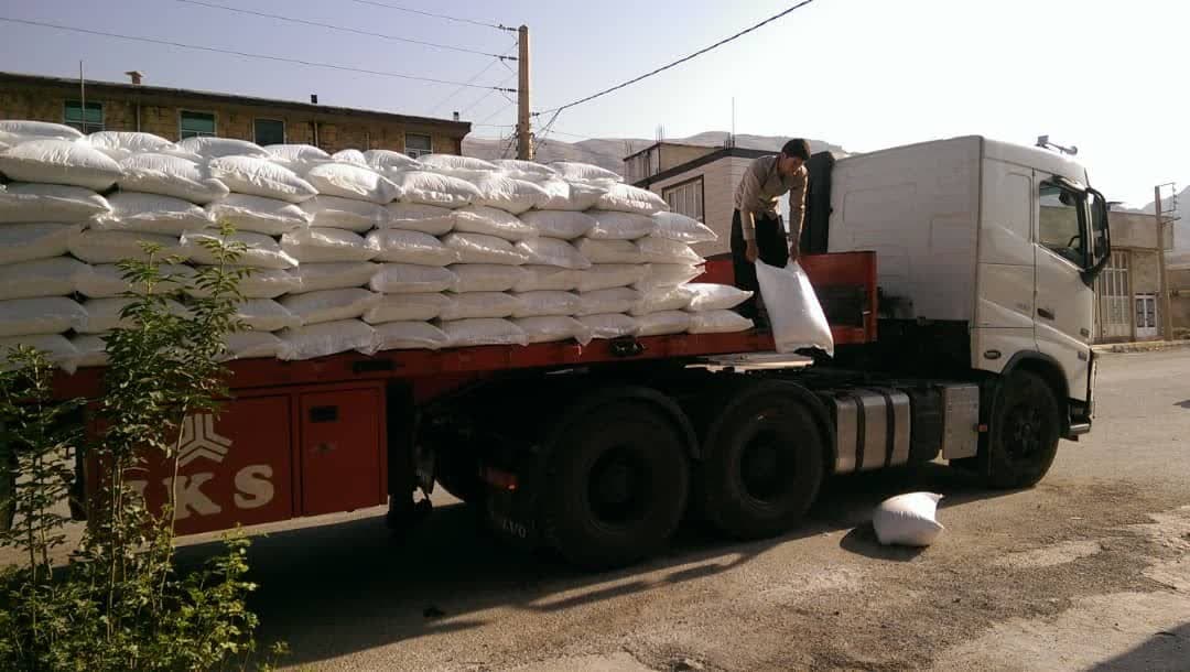 سرپرست شرکت خدمات حمایتی کشاورزی ایلام خبر داد: توزیع  کود پتروشیمی مسجد سلیمان در  شهرستان مهران