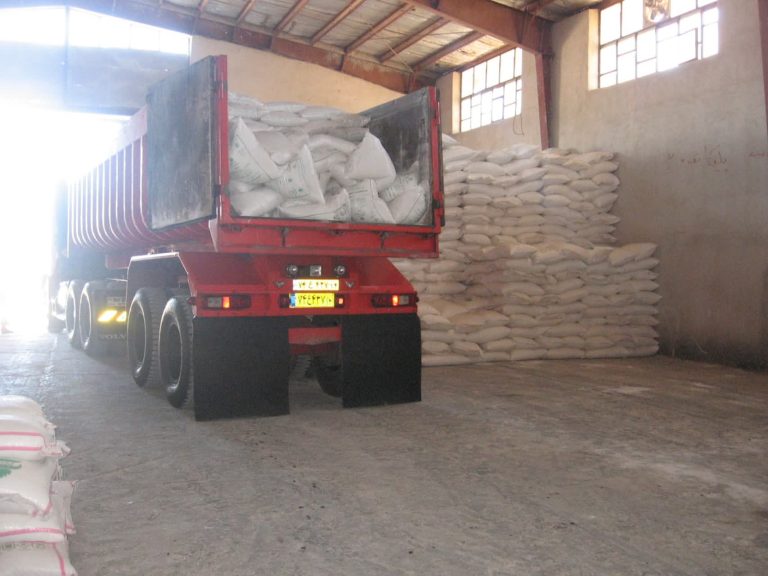 مدیر شرکت خدمات حمایتی کشاورزی ایلام خبر داد: توزیع  کود پتروشیمی مسجد سلیمان در  شهرستان های استان ایلام