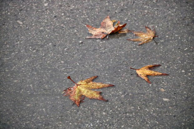 کارشناس هواشناسی استان ایلام خبر داد؛ کاهش محسوس دما از روز سه شنبه در استان ایلام