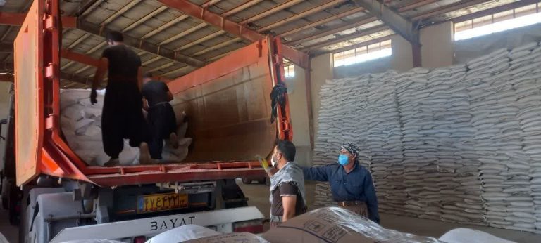 مدیر شرکت خدمات حمایتی کشاورزی ایلام خبر داد: بیش از 65 درصد برنامه ابلاغی کود استان ایلام تامین شد