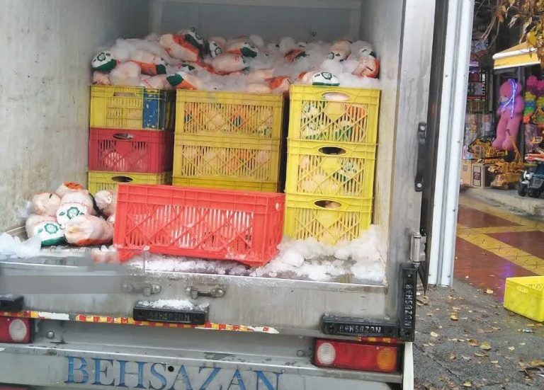 توزیع روزانه ۲۷ تن مرغ منجمد در استان ایلام در آستانه شب یلدا