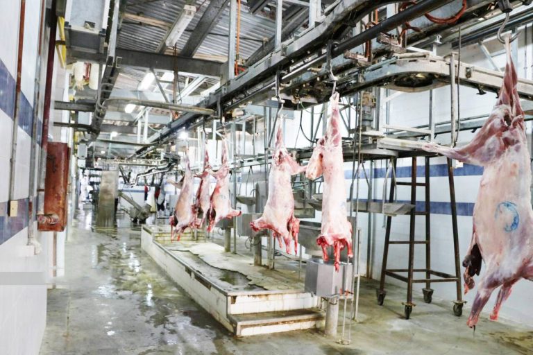 مدیرکل دامپزشکی استان از سلب مالکیت خصوصی کشتارگاه صنعتی ایلام خبر داد