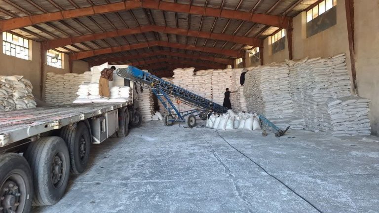 مدیر شرکت خدمات حمایتی کشاورزی ایلام خبر داد: توزیع 45081تن انواع کود در استان ایلام