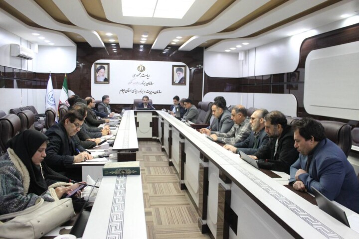 رییس سازمان مدیریت و برنامه ریزی استان ایلام: پنج حوزه مرز مهران، نفت، صنایع دستی، کشاورزی و دامپروری قابلیت توسعه و رشد استان را دارد