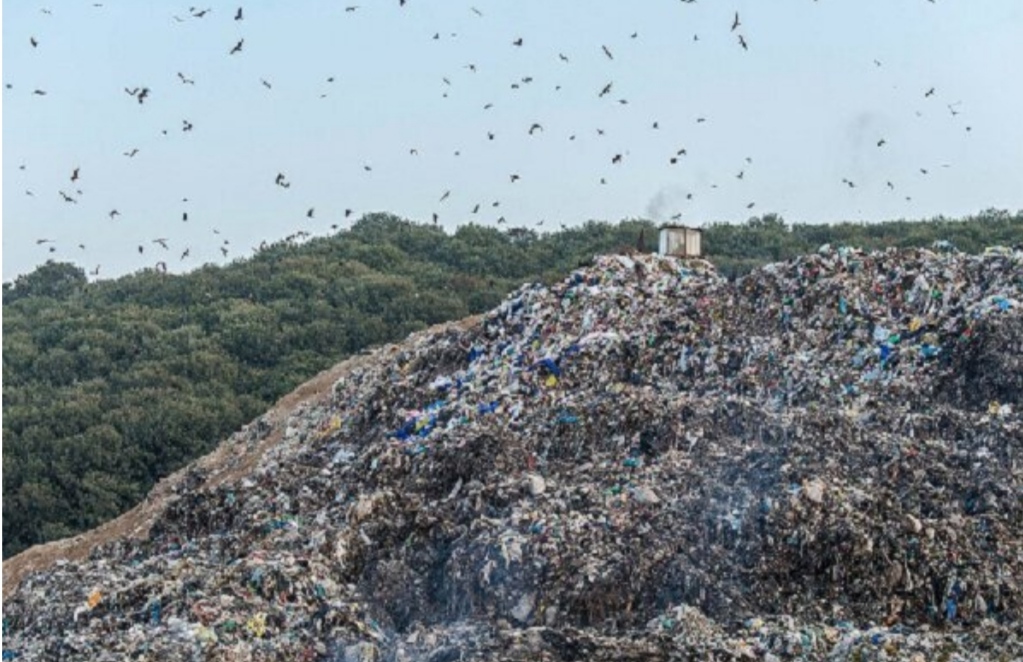مدیرکل حفاظت محیط زیست استان ایلام: روزانه ۷۷۴ تن زباله در استان ایلام تولید می‌شود