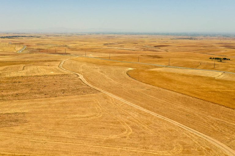 رئیس سازمان جهاد کشاورزی ایلام خبر داد: مهار بیماری زنگ زرد غلات در مزارع ایلام