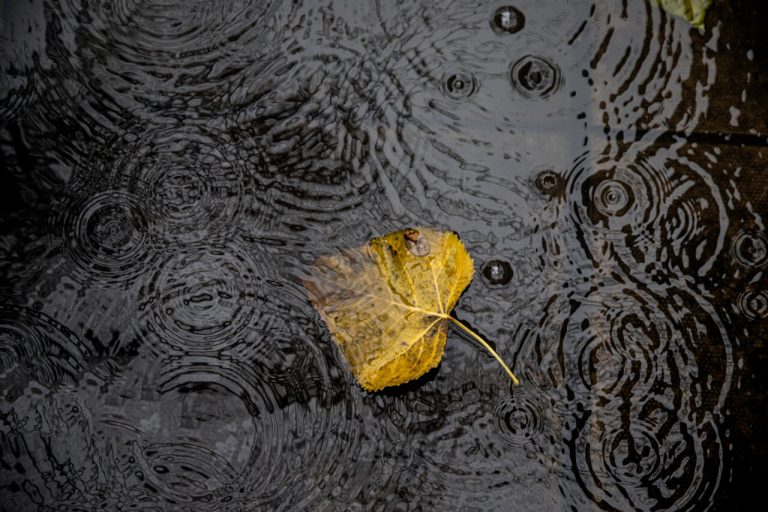 معاون توسعه و پیش‌بینی هواشناسی استان ایلام خبر داد: هوای ایلام از امشب ناپایدار می‌شود