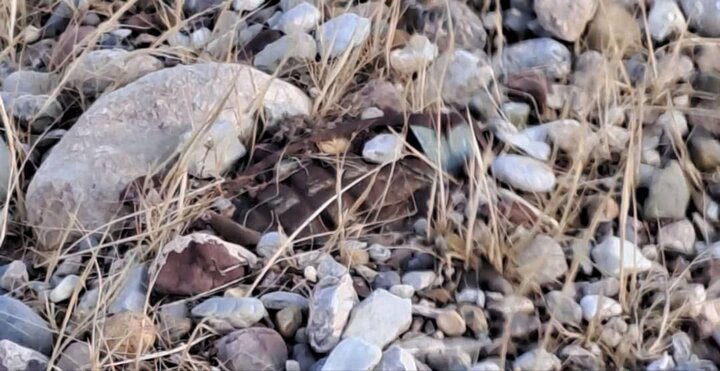 پس از بارش های سیل آسا؛ نمایان شدن نارنجک‌های عمل نکرده دوران جنگ تحمیلی در ایلام