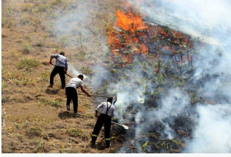 مدیرکل منابع طبیعی و آبخیزداری استان ایلام خبر داد: ۶۸ فقره آتش سوزی در عرصه های طبیعی ایلام ثبت شده است