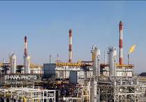 کشف ۳۰۰ کیلوگرم گوشت مرغ تاریخ منقضی از سردخانه شرکت پالایشگاه گاز چوار