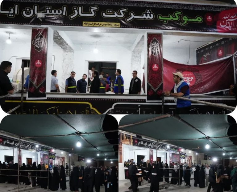مدیرعامل شرکت گاز استان ایلام خبر داد: روزانه ۳ هزار پرس غذا توسط موکب شرکت گاز ایلام در بین زائران اربعین توزیع می شود