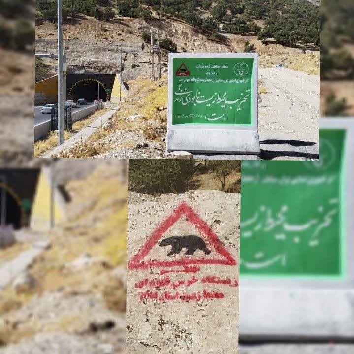مدیرکل حفاظت محیط زیست استان از نصب ۲۸ قطعه تابلو بتنی و پیام هشدار دهنده و بازدارنده عدم ورود به مناطق حفاظت شده ایلام خبر داد