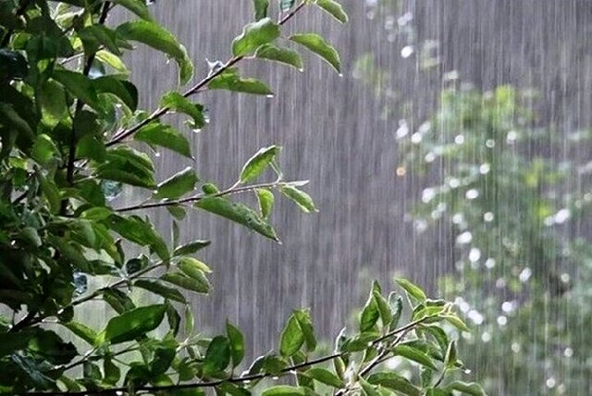 کارشناس پیش‌بینی هواشناسی استان خبر داد: اولین بارش مؤثر پاییزی از اواخر هفته جاری ایلام را فرا می‌گیرد