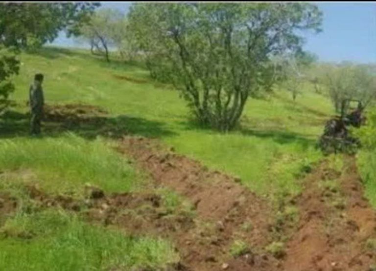 مدیر کل منابع طبیعی و آبخیزداری استان ایلام: تاثیر منفی تغییرات اقلیمی بر منابع طبیعی