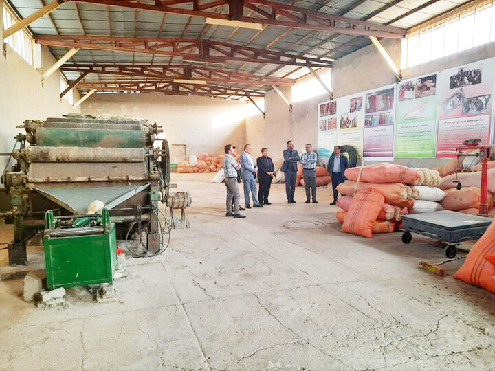 مدیرکل امور عشایری ایلام خبر داد؛ جلوگیری از خروج سالانه ۱۶۰۰ تن پشم خام در استان ایلام