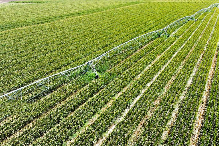 رئیس سازمان جهاد کشاورزی استان ایلام خبر داد: پروژه شبکه آبیاری دشت بدره با ۹۵ درصد پیشرفت در حال اجرا است