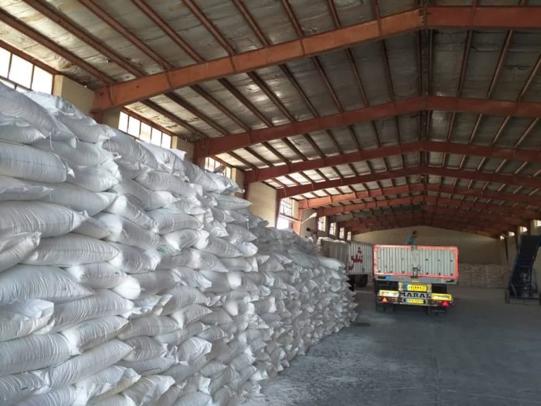 مدیر شرکت خدمات حمایتی کشاورزی استان خبر داد: بیش از 19 هزار تن  کود ازت در استان ایلام توزیع شد