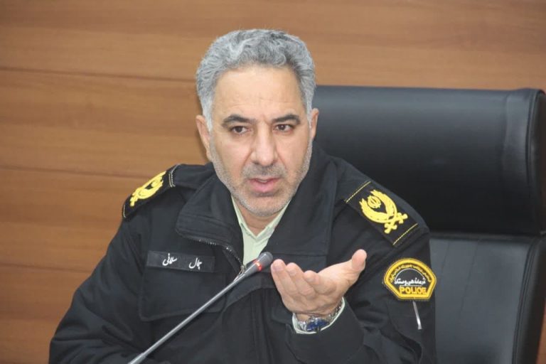 فرمانده انتظامي استان ايلام خبر داد: توقیف 16دستگاه خودروي شوتي  در ایلام