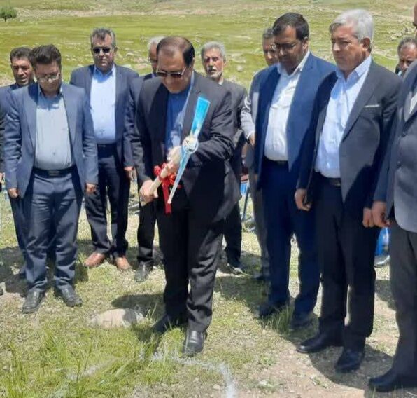 مدیرعامل شرکت توزیع نیروی برق استان ایلام خبر داد: آغاز ساخت ۱۰ نیروگاه خورشیدی در ایلام