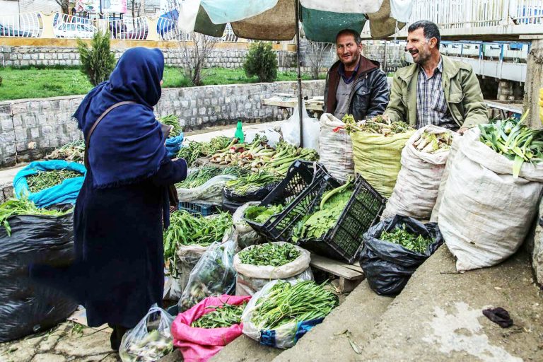 مدیرکل منابع‌طبیعی و آبخیرداری ایلام خبر داد: تشکیل ۲۲ پرونده تخلف برداشت گیاهان خوراکی در ایلام