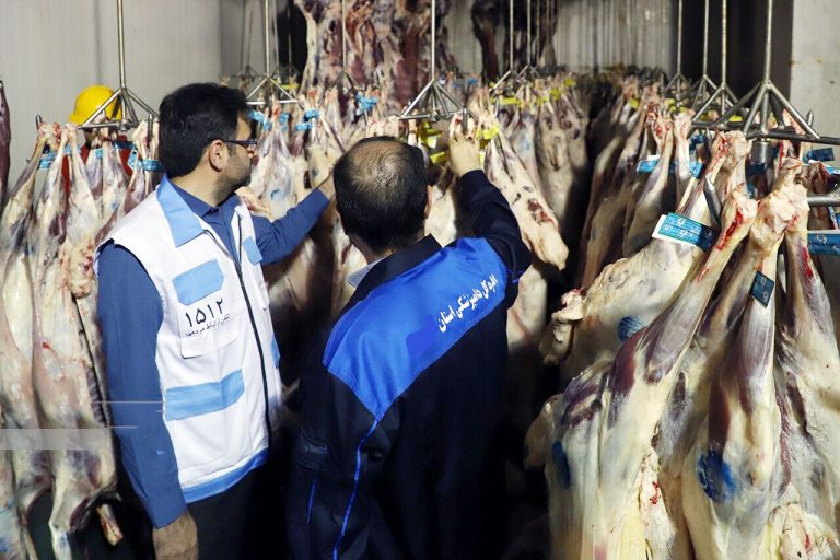 مدیرکل دامپزشکی ایلام خبر داد: ۶ تن فرآورده خام دامی فاسد در ایلام معدوم شد