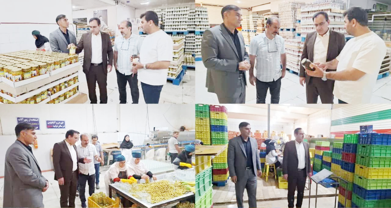 بهره برداری و آغاز به کار دو خط جدید کارخانجات دره شهر با حضور معاون سیاسی و امنیتی استاندار ایلام