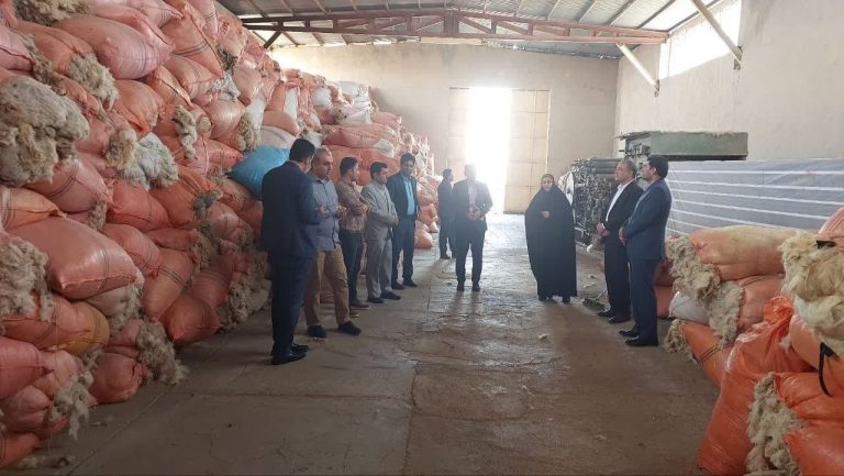 اختصاص ۱۰ میلیارد ریال تسهیلات اشتغال‌زایی ویژه زنان عشایر