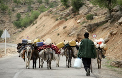 مدیرکل امور عشایری استان خبر داد: مسیرهای ارتباطی ۸ کانون عشایری ایلام بهسازی می شود