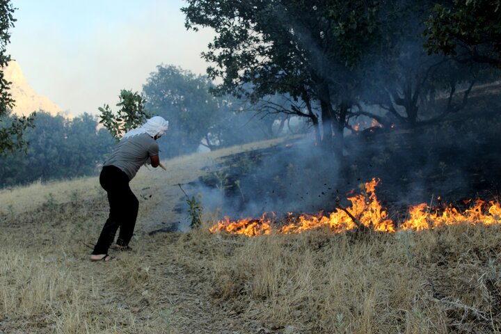 نگین زاگرس در آتش بی‌مهری؛‌ صدای پای «رسول» می‌آید