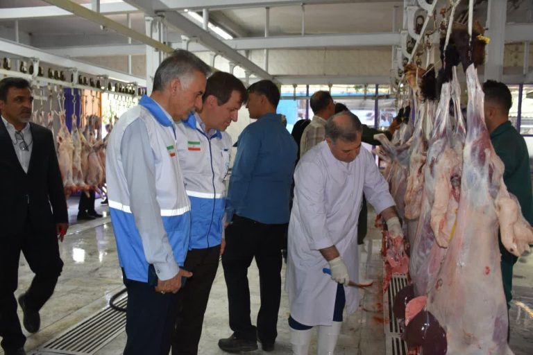 مدیرکل دامپزشکی استان: تشدید نظارت دامپزشکی ایلام بر ذبح و عرضه دام در ایام تاسوعا و عاشورا