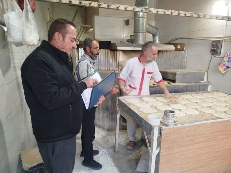 معاون بهداشتی دانشگاه علوم پزشکی ایلام خبر داد: ۶۵ نانوایی متخلف ایلام به دستگاه قضا معرفی شدند