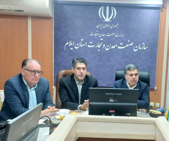 مدیرکل صمت ایلام خبر داد: ۲۶ شرکت پخش سراسری در ایلام فعالیت دارند