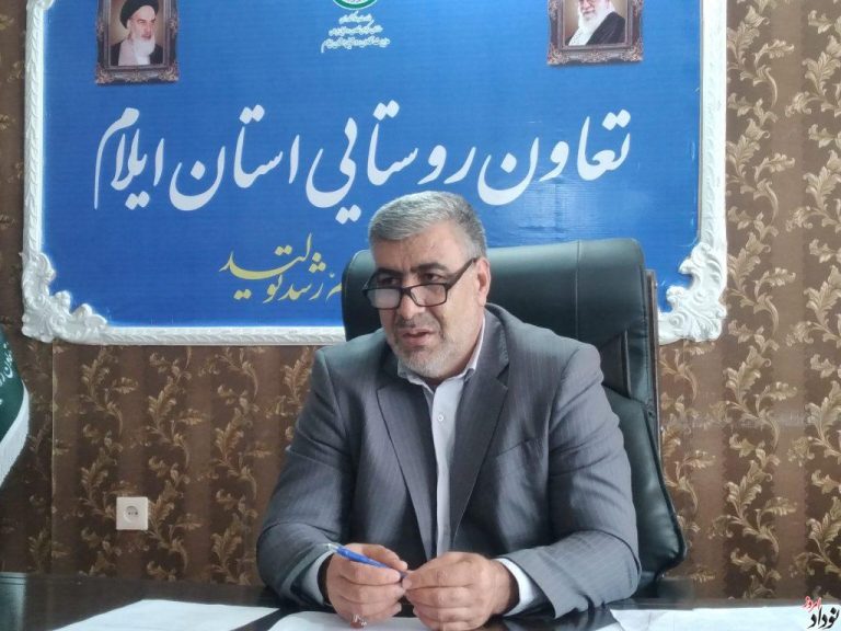 مدیرکل تعاون روستایی خبر داد: ساخت ۵ سردخانه در ایلام مصوب شد