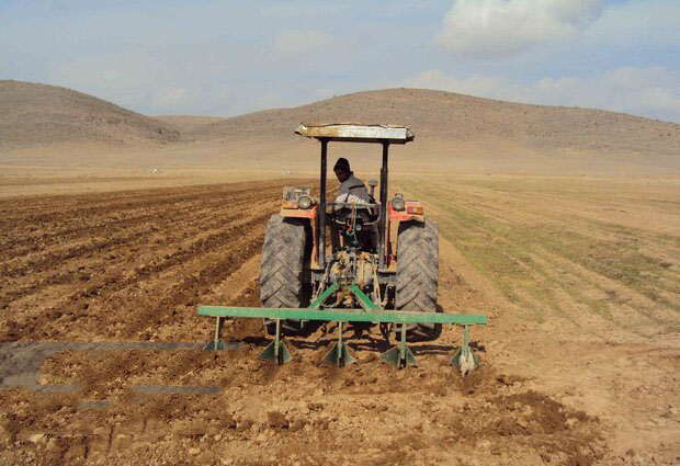 رئیس جهادکشاورزی استان خبر داد: کشت پاییزه محصولات کشاورزی ایلام آغاز شد