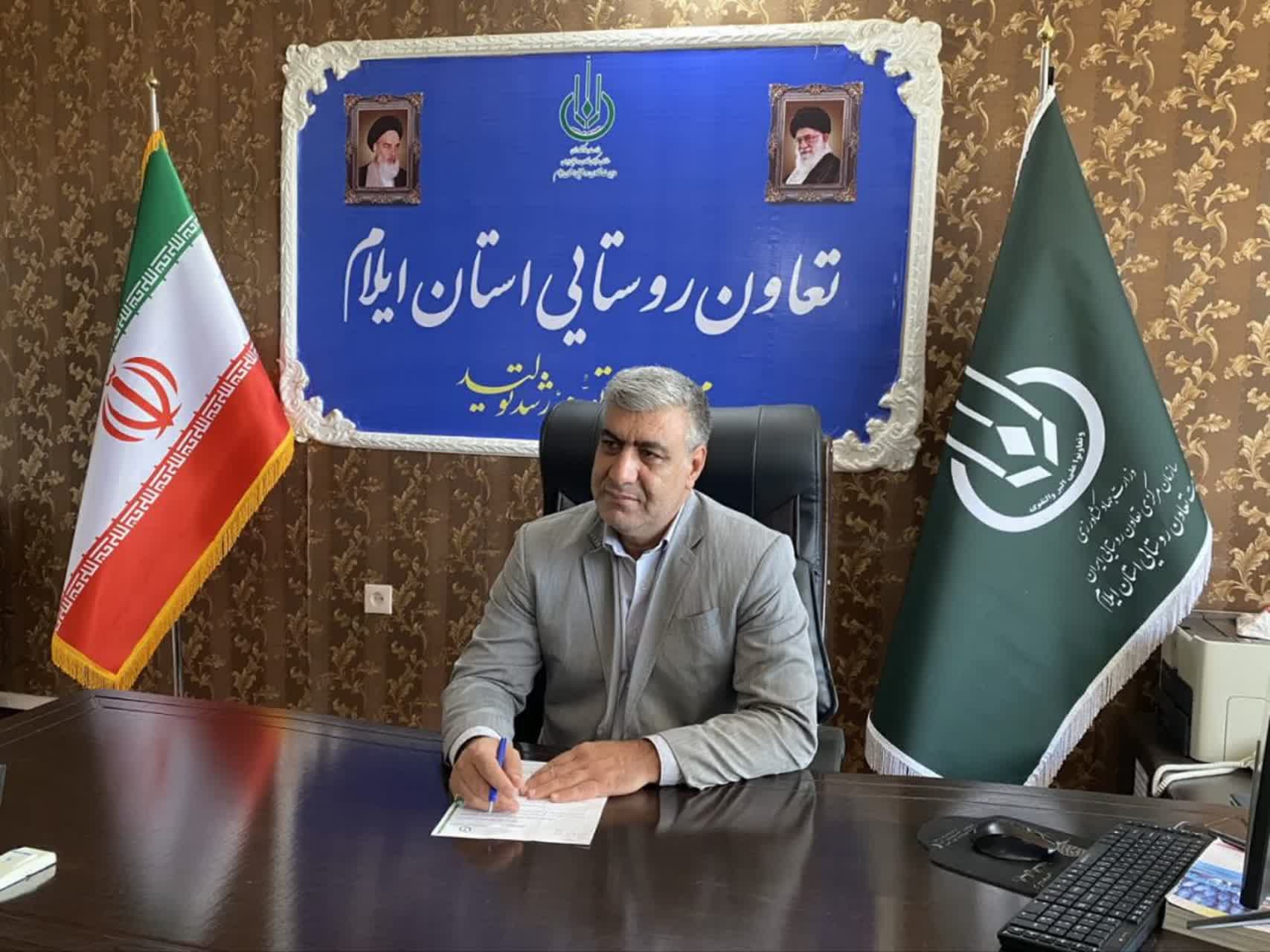 کشت قراردادی ذرت علوفه‌ای در ۱۴۰۰ هکتار از اراضی ایلام اجرا شد