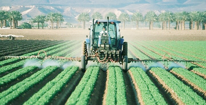 رئیس جهادکشاورزی استان خبر داد: کشت پایلوت سویا در دهلران ایلام آغاز شد