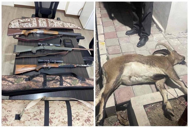 مدیرکل حفاظت محیط‌زیست ایلام خبر داد: شکارچیان غیرمجاز در مهران به دام افتادند