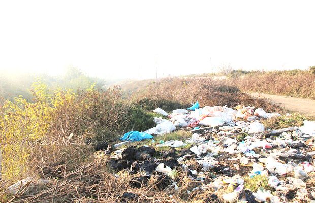 مهم‌ترین عامل آلودگی خاک در ایلام پسماندهای شهری هستند