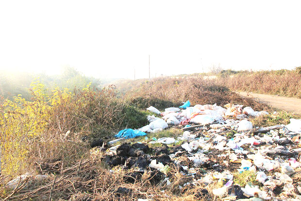 مهم‌ترین عامل آلودگی خاک در ایلام پسماندهای شهری هستند