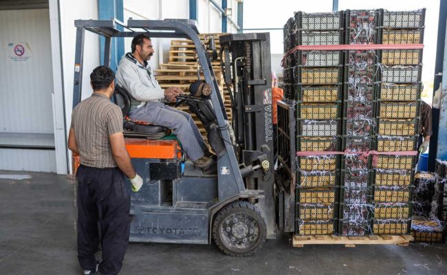 مدیر تعاون روستایی ایلام خبر داد: بهره‌برداری از دو سردخانه با ۲۸۰ تن ظرفیت در ایلام