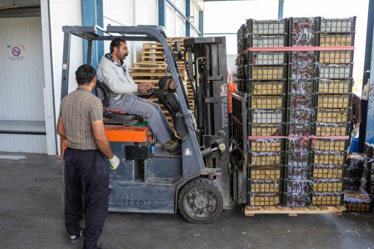 مدیر تعاون روستایی ایلام خبر داد: بهره‌برداری از دو سردخانه با ۲۸۰ تن ظرفیت در ایلام