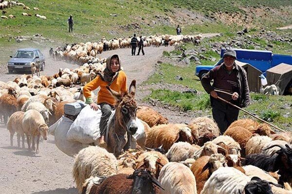 تولید سالانه یک هزار میلیارد تومان محصولات عشایر ایلام از دل مراتع