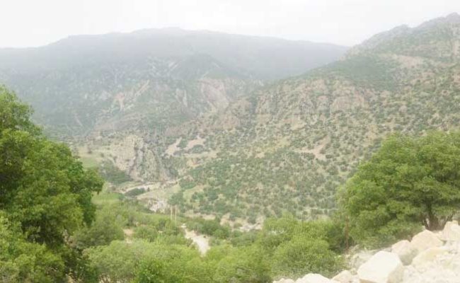 صیانت از ۱۴۳ هزار هکتار عرصه طبیعی ایلام با همراهی مردم صیانت از ۱۴۳ هزار هکتار عرصه طبیعی ایلام با همراهی مردم